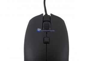 Ninox-Venator-10