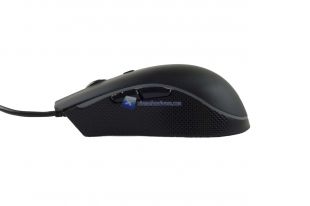Ninox-Venator-11
