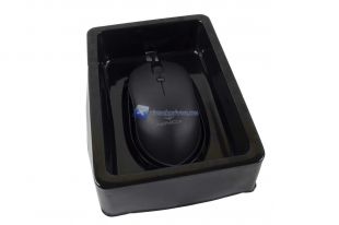 Ninox-Venator-4