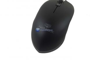 Ninox-Venator-9